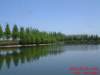 dscf00512_small.jpg