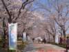 dscf0056_small.jpg