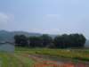 dscf0066_small.jpg