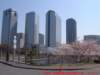 dscf0081_small.jpg