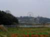 dscf0090_small.jpg