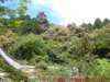 dscf0094_small.jpg
