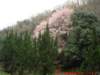 dscf0149_small.jpg