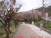 dscf0169_small.jpg