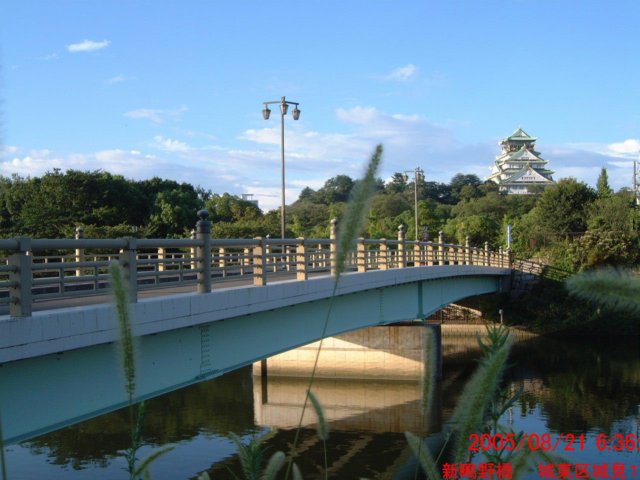 dscf0201.jpg