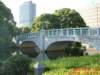 dscf0204_small.jpg