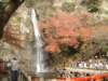 dscf0215_small.jpg