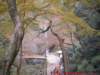 dscf0220_small.jpg