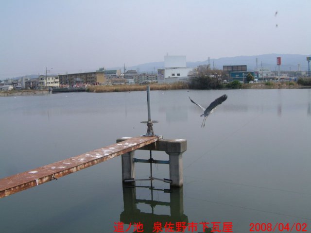 dscf0245.jpg