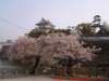 dscf0257_small.jpg