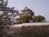 dscf0261_small.jpg