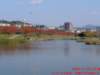 dscf0297_small.jpg