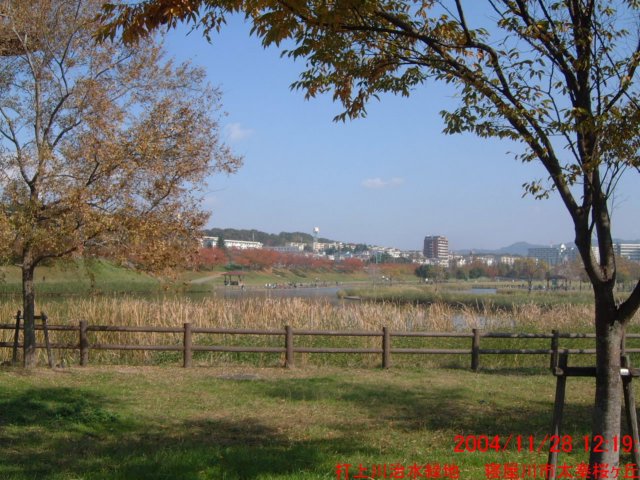 dscf0298.jpg