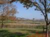 dscf0298_small.jpg