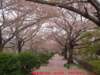 dscf0301_small.jpg
