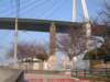 dscf0324_small.jpg
