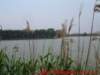 dscf0350_small.jpg
