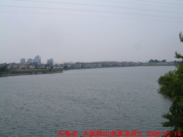 dscf0355.jpg