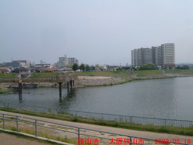 dscf0367.jpg