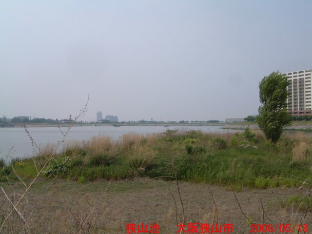 dscf0369.jpg