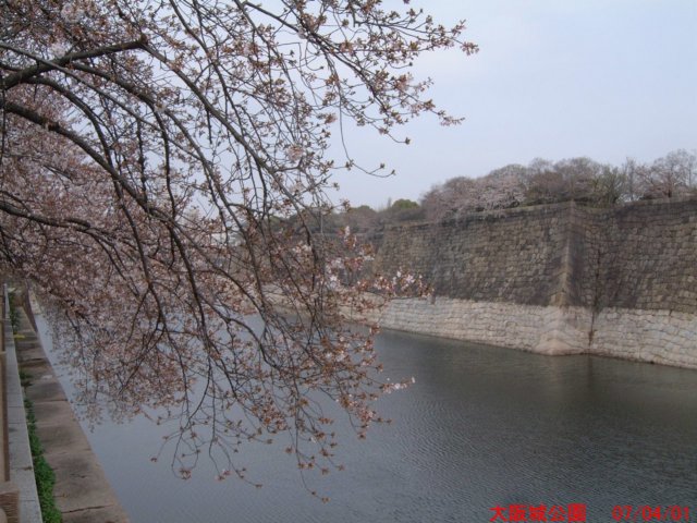 dscf03762.jpg
