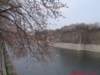 dscf03762_small.jpg