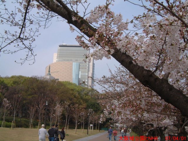 dscf03782.jpg