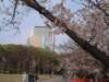 dscf03782_small.jpg