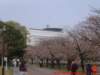 dscf0380_small.jpg