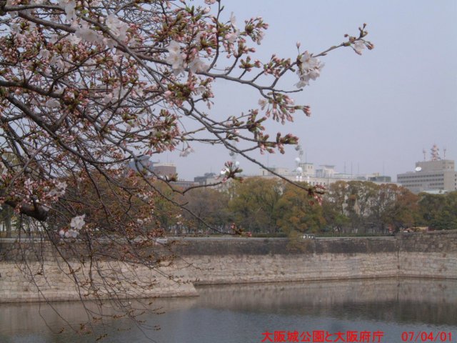 dscf0381.jpg
