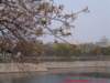 dscf0381_small.jpg