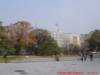 dscf0384_small.jpg