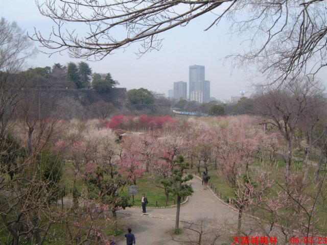 dscf0388.jpg