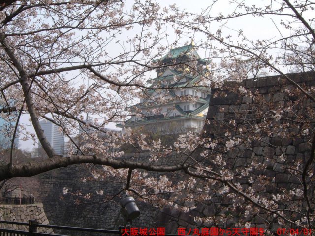 dscf03892.jpg
