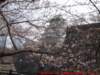 dscf03892_small.jpg