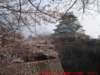 dscf03912_small.jpg