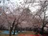 dscf03922_small.jpg