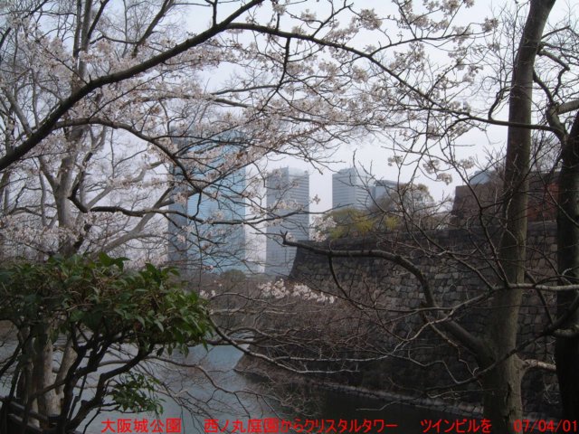 dscf03942.jpg