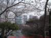 dscf03942_small.jpg