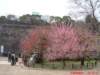 dscf0394_small.jpg