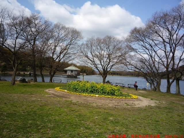 p1000266.jpg