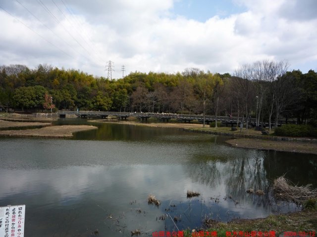 p1000267.jpg