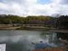p1000267_small.jpg