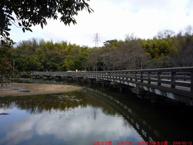 p1000268.jpg