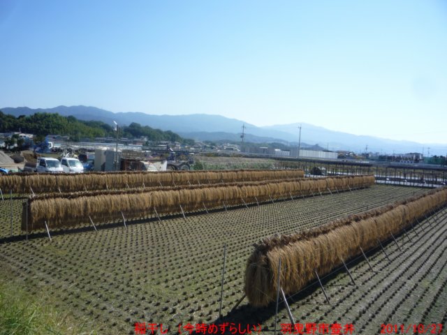 p1050287.jpg