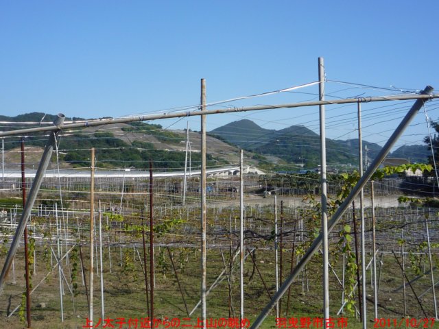 p1050319.jpg