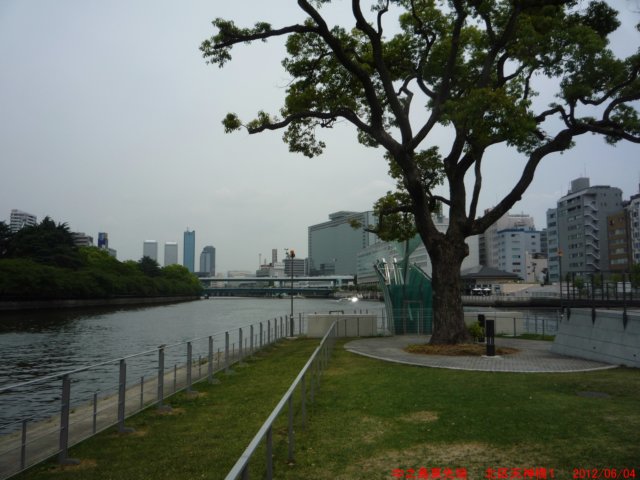 p10609692.jpg