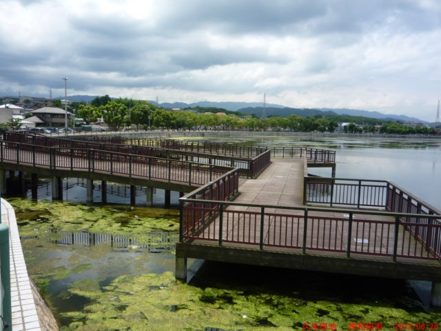 p1070105.jpg