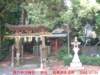 dscf00018_small.jpg