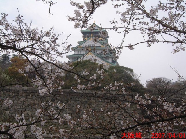 dscf00105.jpg
